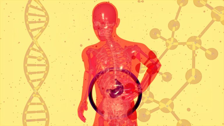 Mejora tu salud intestinal naturalmente